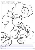 coloriage-ecureuil-2